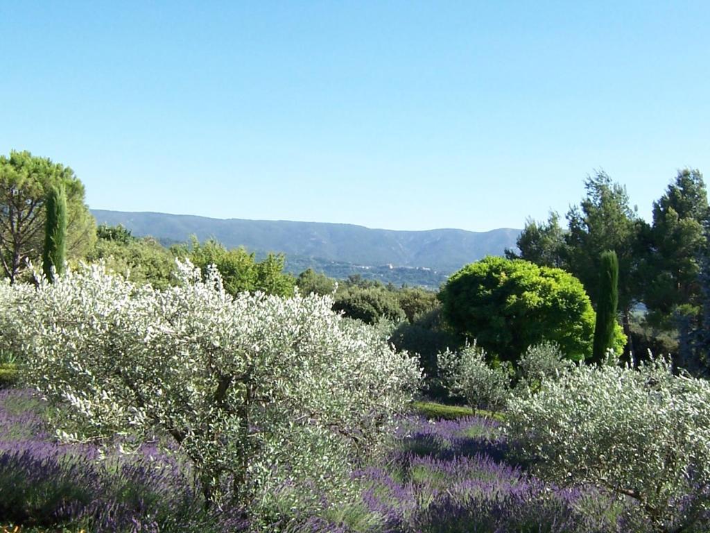 Lou Granos Acomodação com café da manhã Gordes Quarto foto